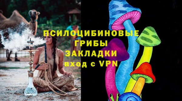 ПСИЛОЦИБИНОВЫЕ ГРИБЫ Гусев