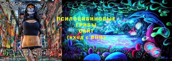 СК Абдулино